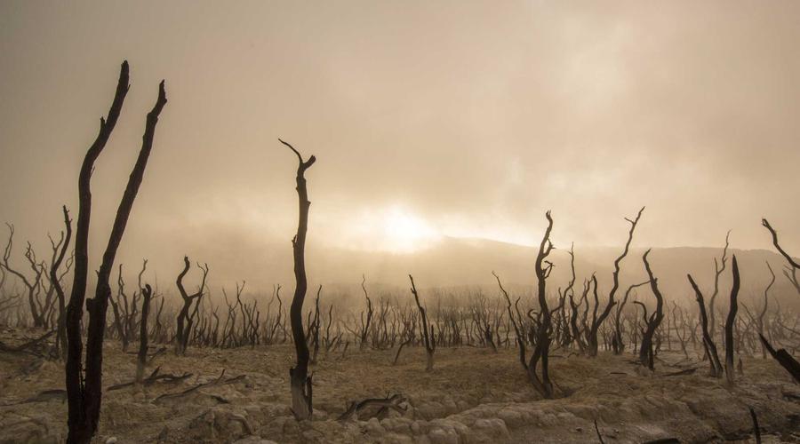 Visual guide to help you understand the key concepts discussed above.