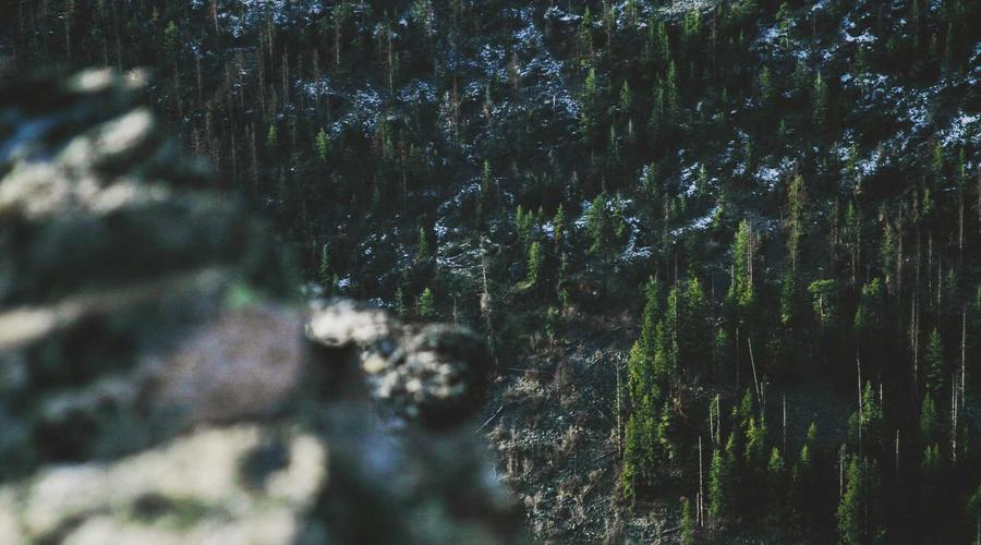 Visual guide to help you understand the key concepts discussed above.