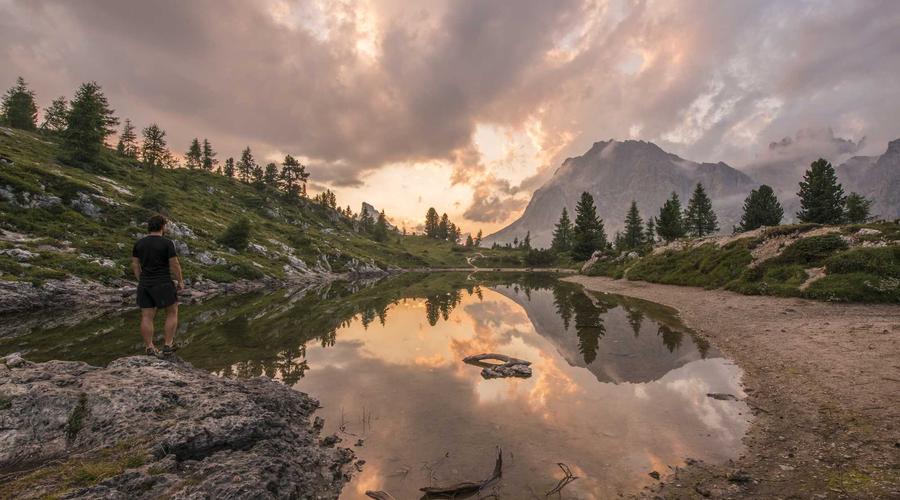 Real-world perspective on the financial principles covered in this section.