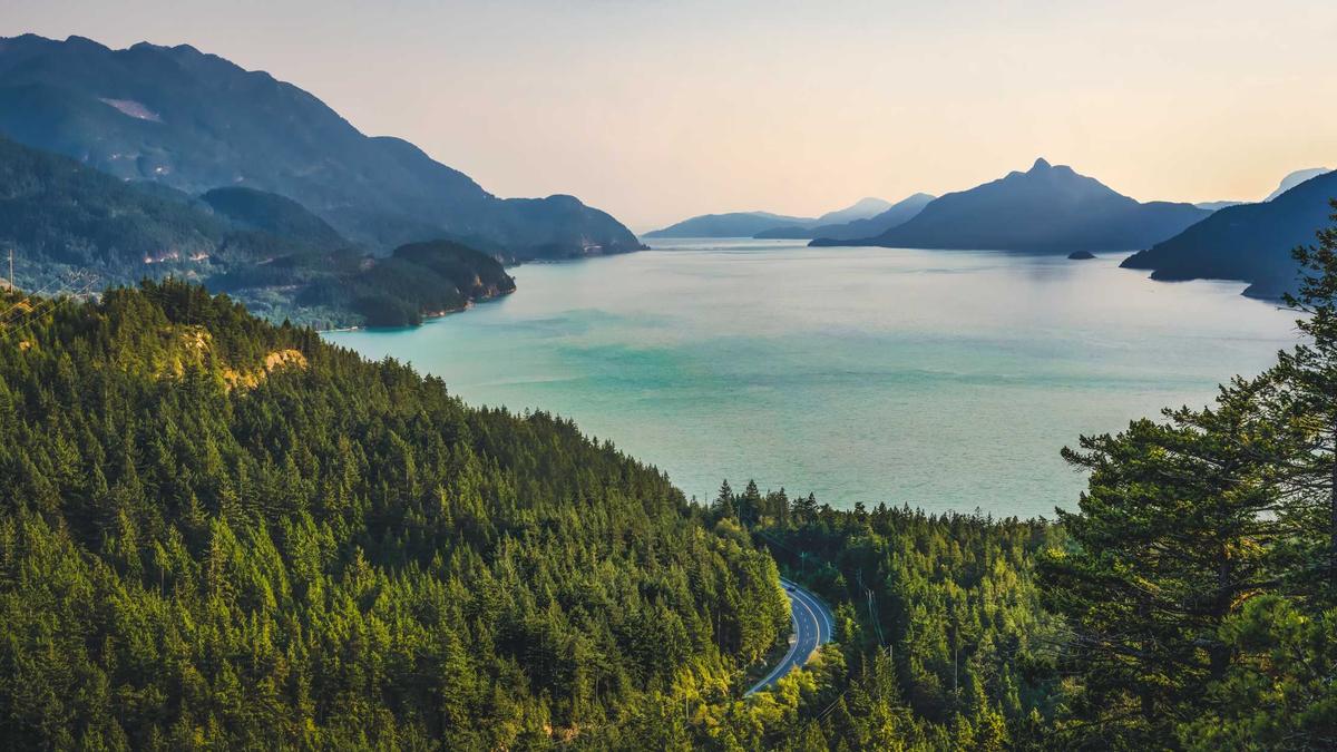 Emergency Fund Planning: A Beginner's Guide to Financial Safety