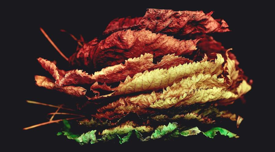 Visual guide to help you understand the key concepts discussed above.