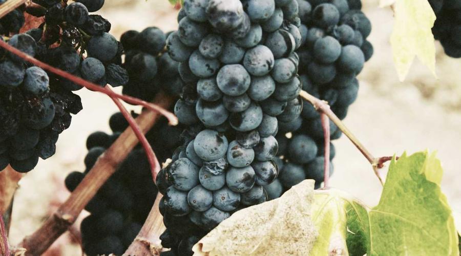 Real-world perspective on the financial principles covered in this section.