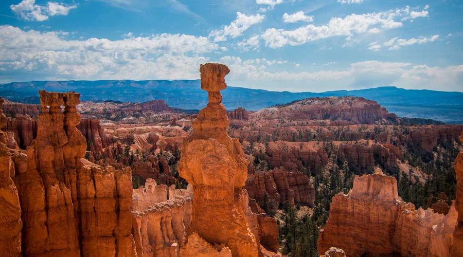 Putting theory into practice — a closer look at the strategies outlined.