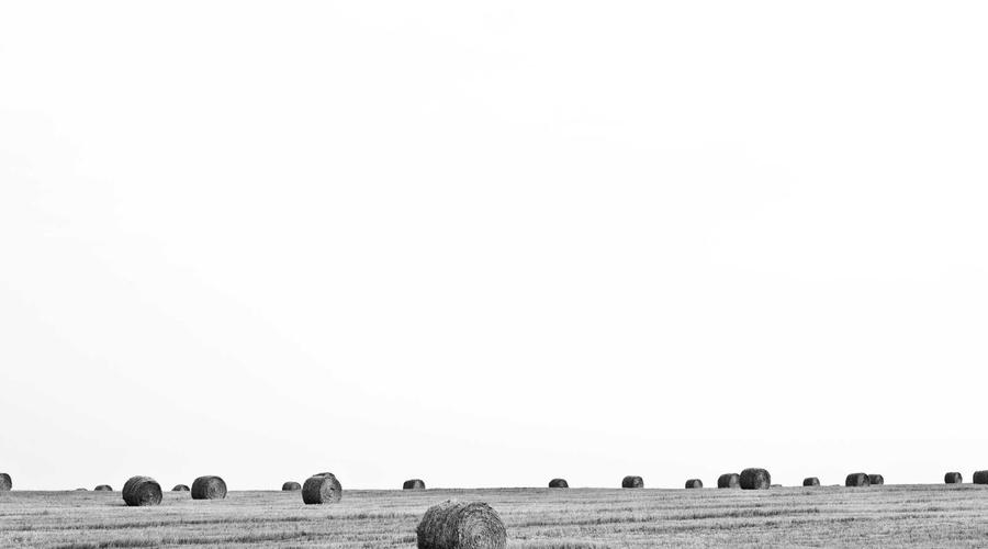 Putting theory into practice — a closer look at the strategies outlined.