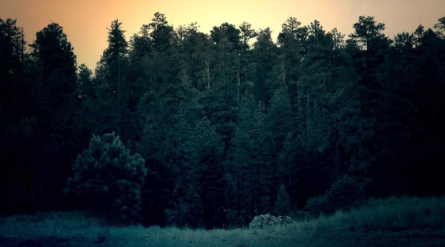 Visual guide to help you understand the key concepts discussed above.