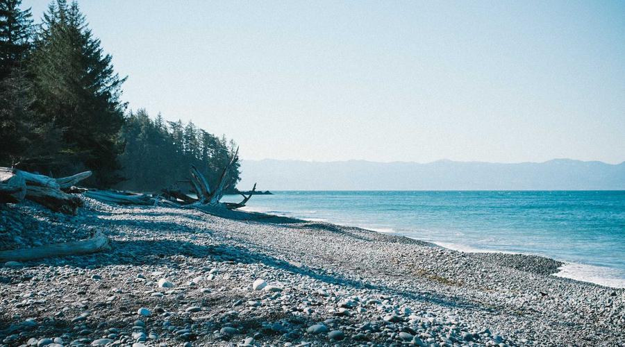 Real-world perspective on the financial principles covered in this section.